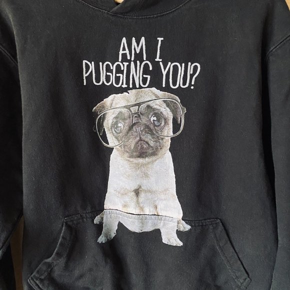 Sweatshirt Hoodie With Pug Dog Graphic Am I Pugging You? - Picture 4 of 15